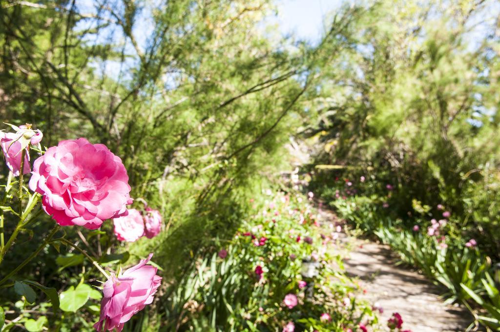 Hotel Rural Biniarroca - Adults Only Sant Lluis Bagian luar foto