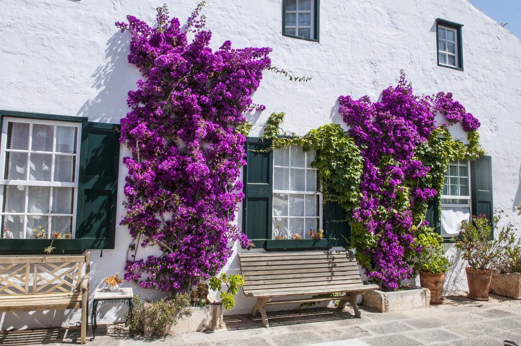 Hotel Rural Biniarroca - Adults Only Sant Lluis Bagian luar foto