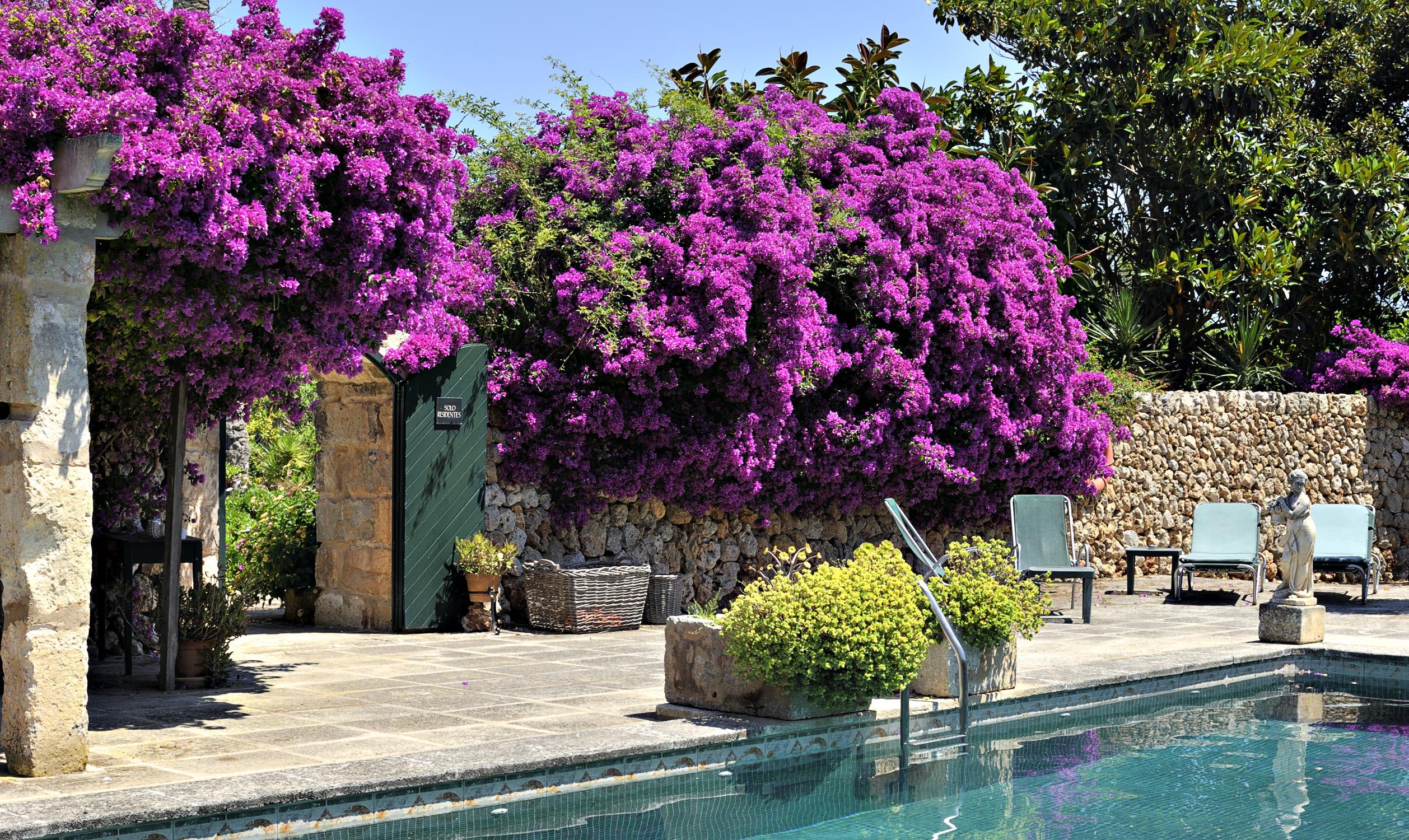 Hotel Rural Biniarroca - Adults Only Sant Lluis Bagian luar foto